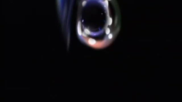 Little Fish Fragmanı