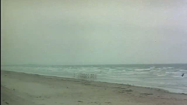 Chariots Of Fire Fragmanı