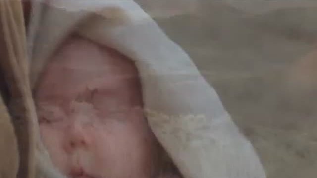 Nomad:The Warrior Fragmanı