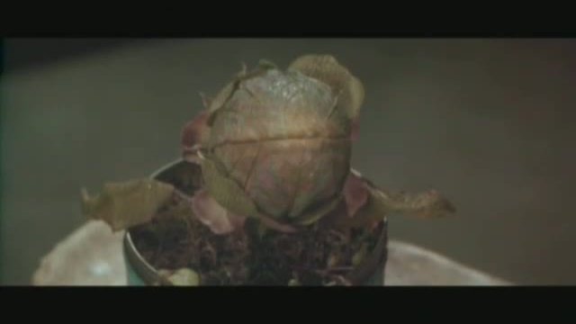 Little Shop Of Horrors Fragmanı