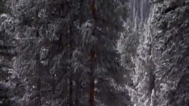 Subject Two Fragmanı