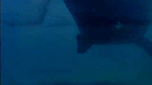 Whale Rider Fragmanı