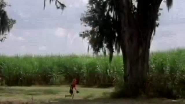 Because Of Winn-dixie Fragmanı