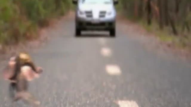 Black Water Fragmanı