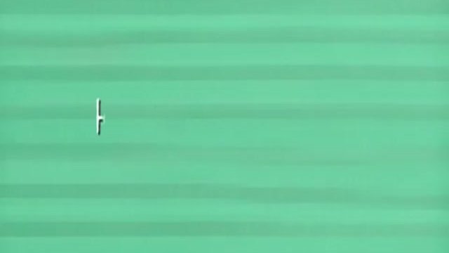 Diminished Capacity Fragmanı