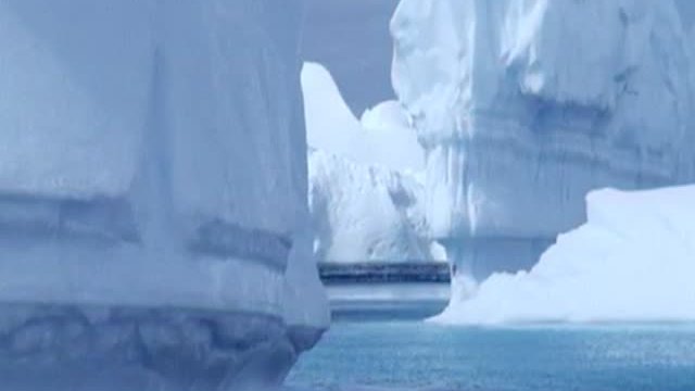 Farce Of The Penguins Fragmanı