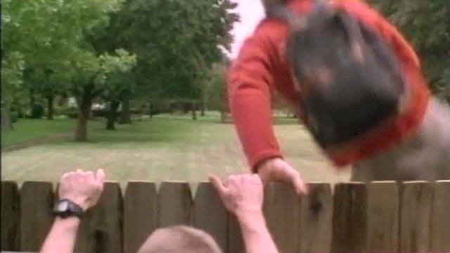 Bottle Rocket Fragmanı