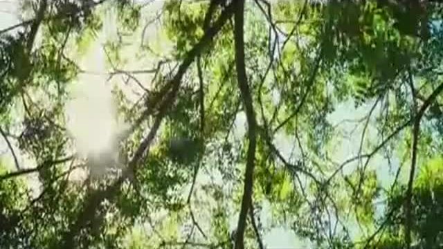 Oranges And Sunshine Fragmanı