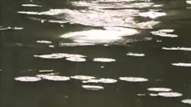 Crocodile Dundee in Los Angeles Fragmanı