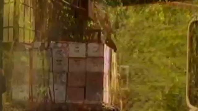 Ulee\'s Gold Fragmanı