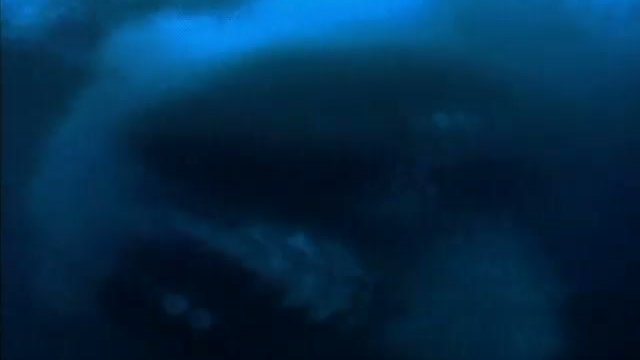 Shark Attack 3: Megalodon Fragmanı