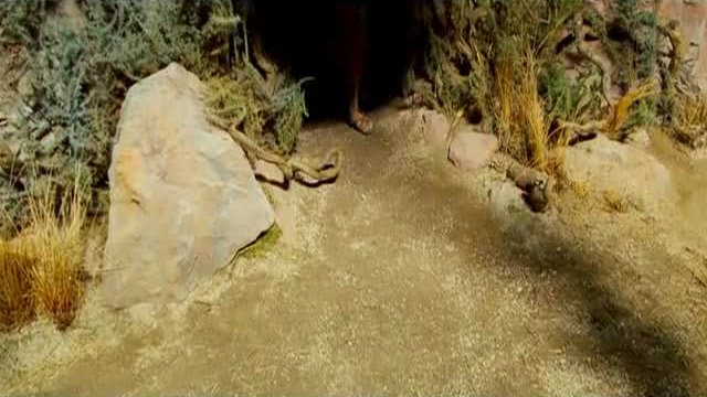 Johnny English Reborn Fragman