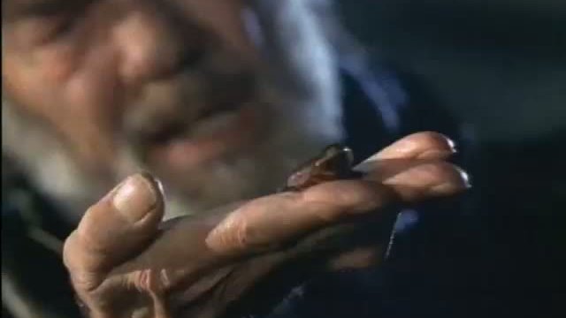 Están Dentro Fragmanı