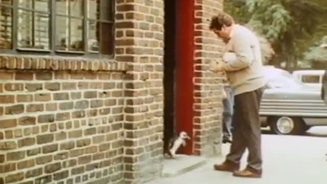 Five Corners Fragmanı