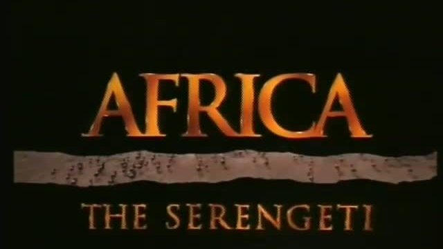 afrika the serengeti Fragmanı