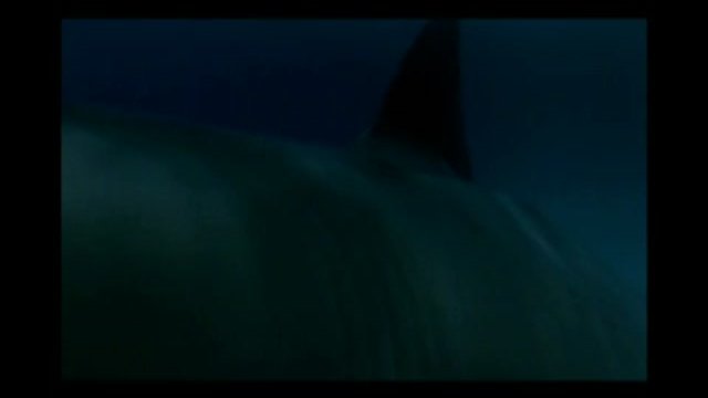 Shark in Venice Fragmanı