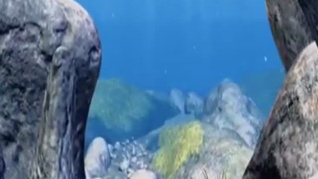 The Dolphin: Story Of A Dreamer Fragmanı