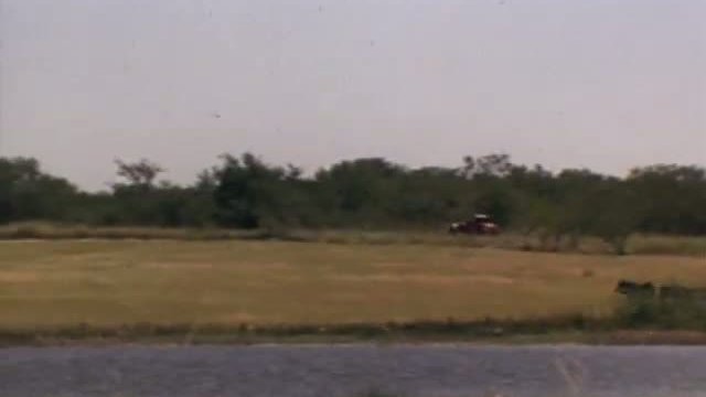 The Whole Wide World Fragmanı