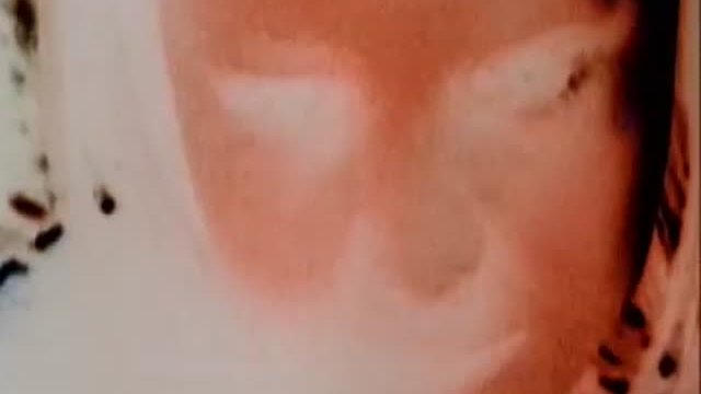 Mr. Halloween Fragmanı