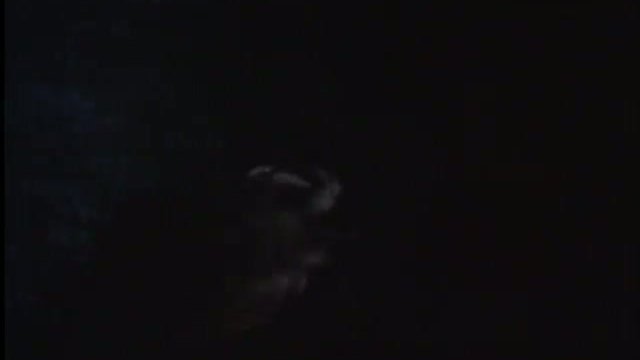 The Great Outdoors Fragmanı