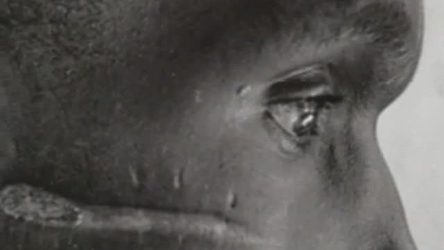 War Photographer Fragmanı