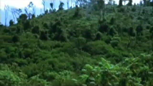 Munyurangabo Fragmanı