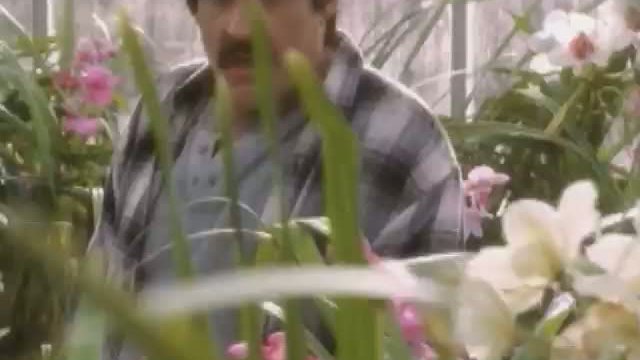 Door To Door (tv) Fragmanı