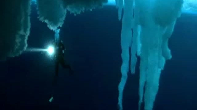 Encounters At The End Of The World Fragmanı