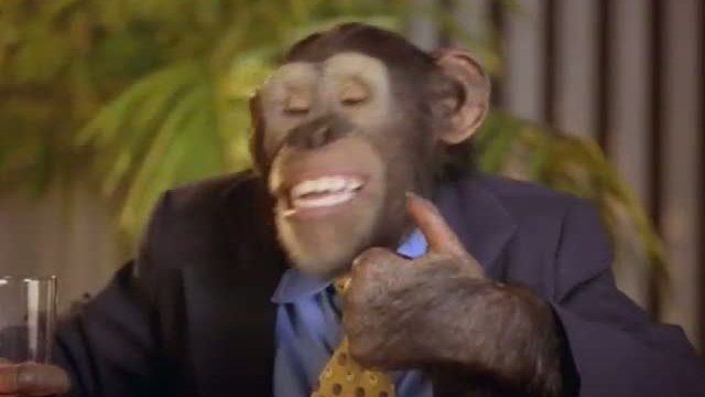 Most Vertical Primate 2 Fragmanı