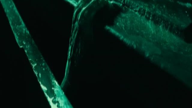 Kutsal Savaşçı - Your words mean nothing