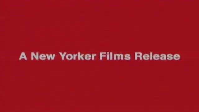 Absolute Wilson Fragmanı