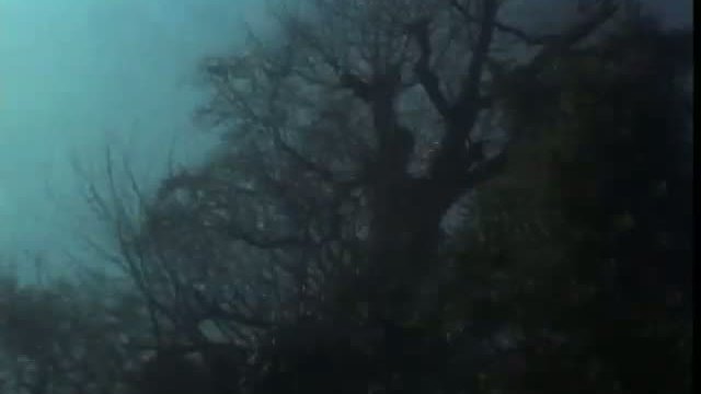 Il Giardino Dei Finzi Contini Fragmanı