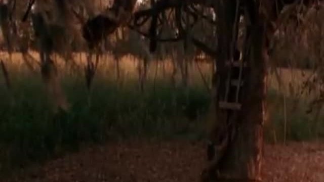 The Grass Harp Fragmanı