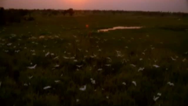 The No 1 Ladies\' Detective Agency Fragmanı