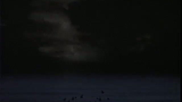 Cocoon: The Return Fragmanı