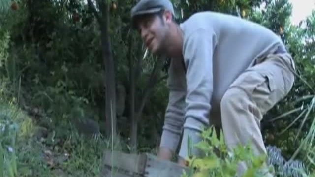 The Orange Thief Fragmanı