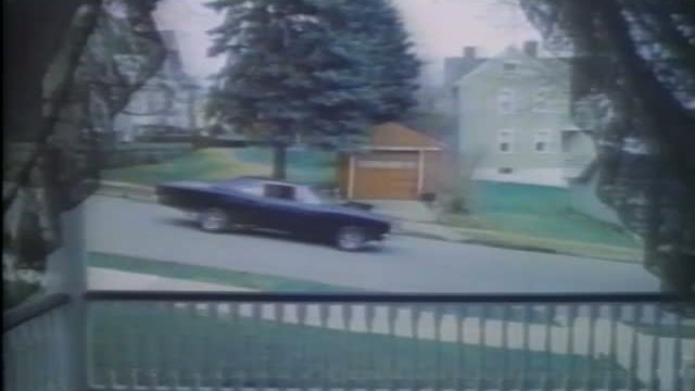 Tiger Warsaw Fragmanı