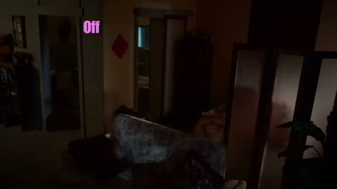 The People ı\'ve Slept With Fragmanı