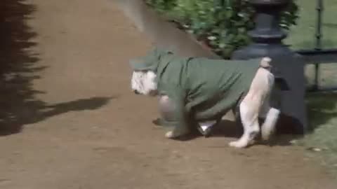 Up The Academy Fragmanı