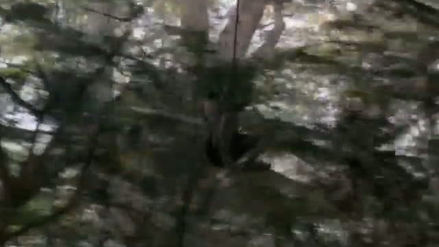 Jungle Boy Fragmanı