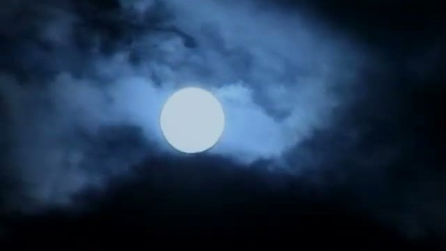 Kurtların Kardeşliği çekim aşaması kısa klip