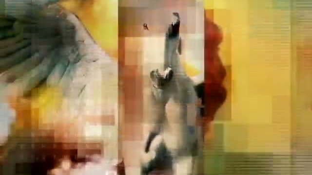 Call Me Claus Fragmanı