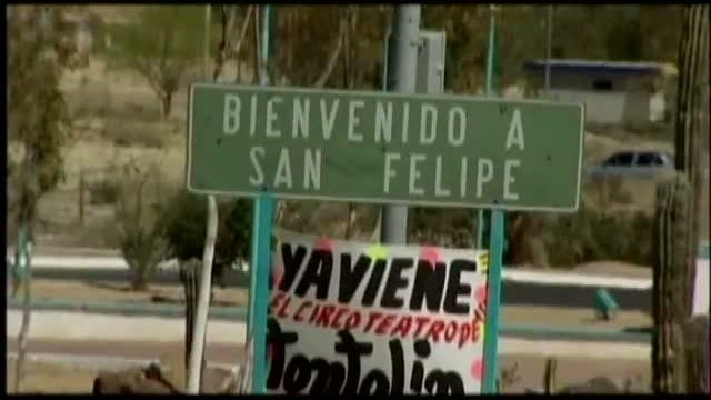 Tangy Guacamole Fragmanı