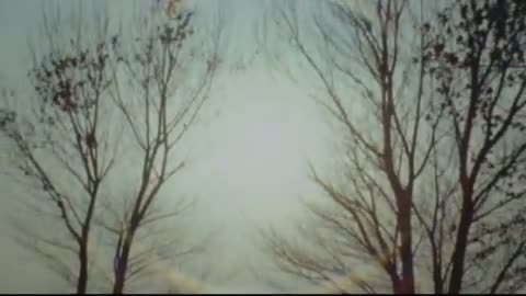 Blood Shack Fragmanı