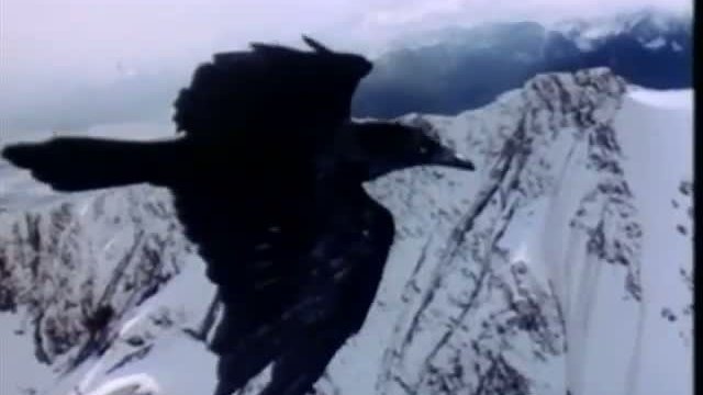 Out Of The Wilderness Fragmanı