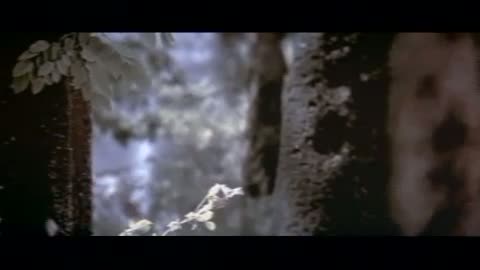 The Tesseract Fragmanı