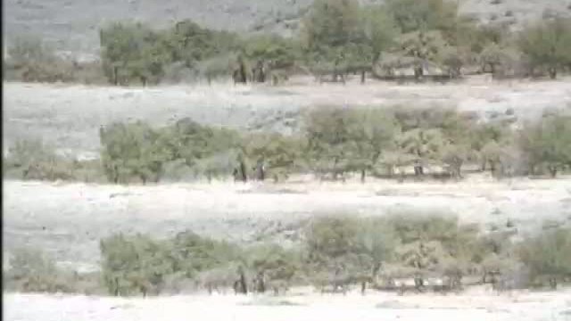 Buck And The Preacher Fragmanı