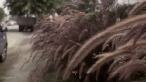 Jake\'s Closet Fragmanı