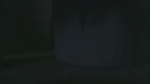 Benji: Off The Leash! Fragmanı