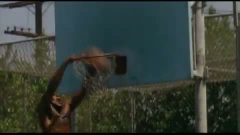 Fakin\' Da Funk Fragmanı